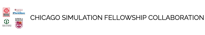 Chicago Simulation Fellowship Collaboration