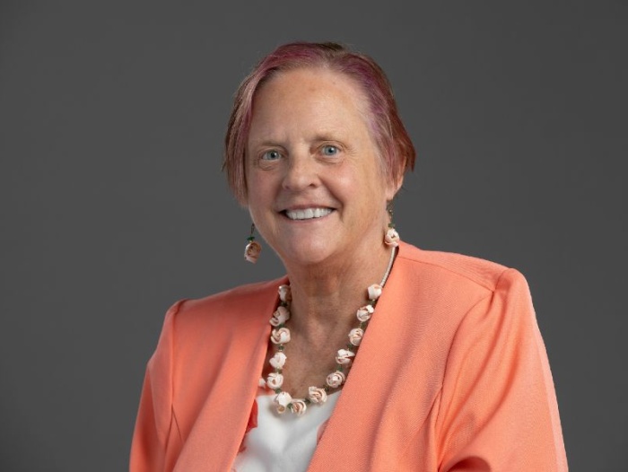 Sarah H. Ailey, PhD, APHN