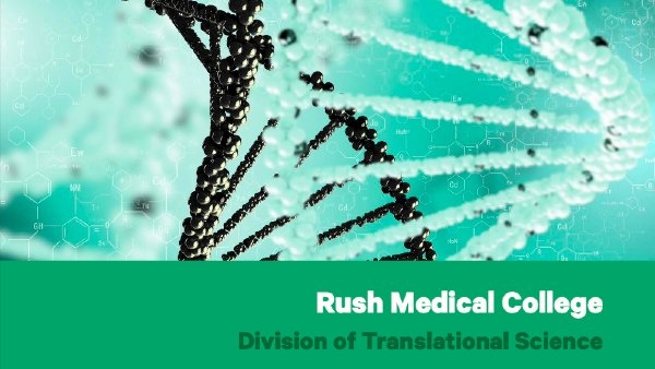 Brochure cover showing a DNA molecule