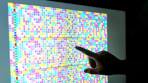 Researcher examining a DNA sequence